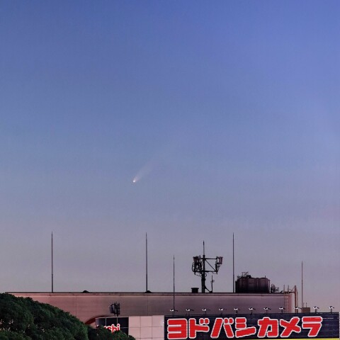 東京上野の空に昇る紫金山・アトラス彗星