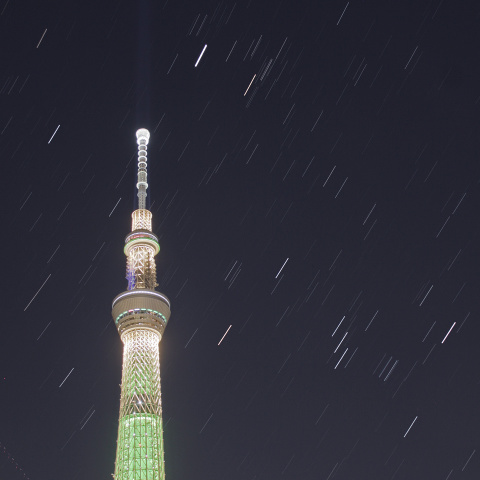 シャンパンツリーと昇る冬の星たち