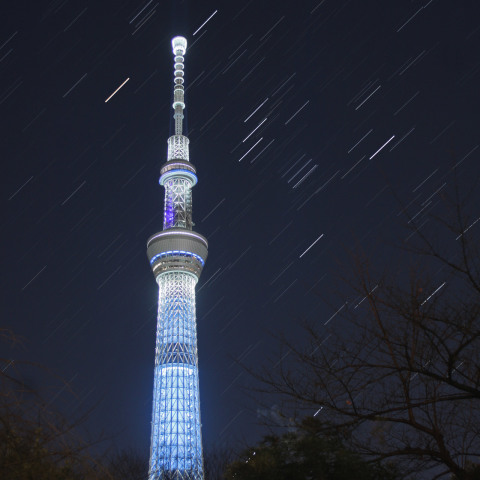 『冬粋』と昇るオリオン