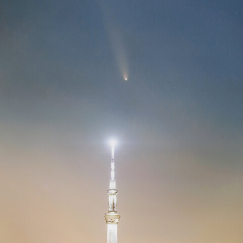東京スカイツリー上空で尾を伸ばした紫金山・アトラス彗星