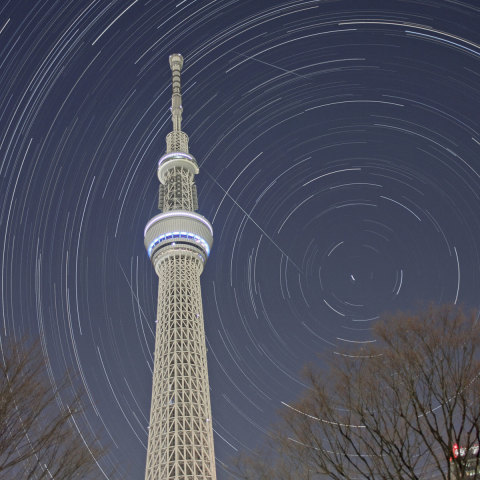 スカイツリーの立つ北天のふたご座流星群