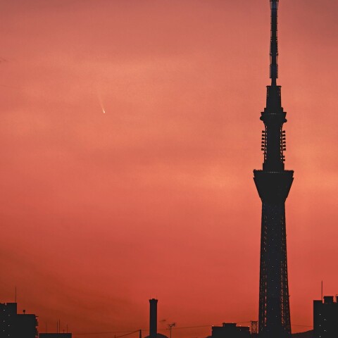 スカイツリー立つ夕焼け空に輝くアトラス彗星