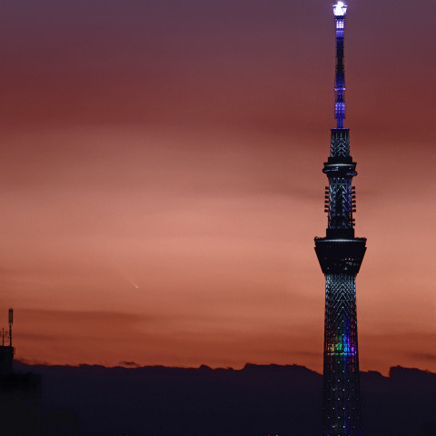 スカイツリー立つ夕焼け空に輝くアトラス彗星（TAKE 2）