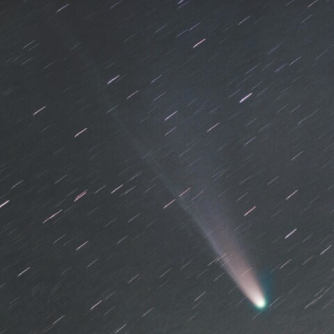 C/2025 A6 レモン彗星