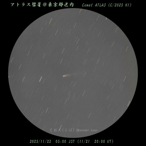 C/2025 K1 アトラス彗星@東京都区内