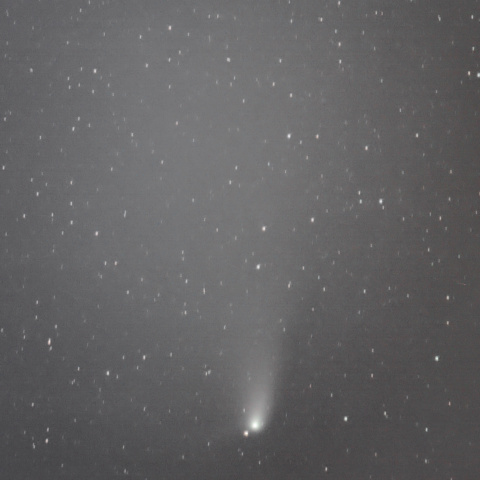 ４月12日のパンスターズ彗星