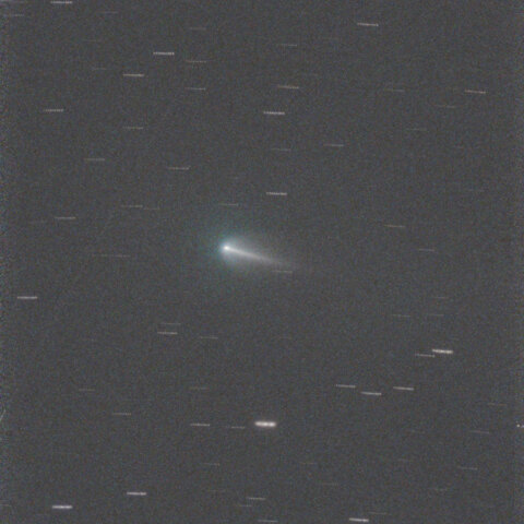 220Pマクノート彗星@東京都区内