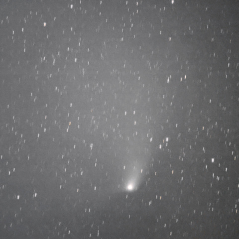 パンスターズ彗星 (C/2011L4 PANSTARRS)