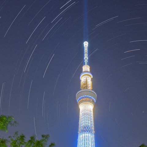 新緑の空の『粋』と廻る北斗七星