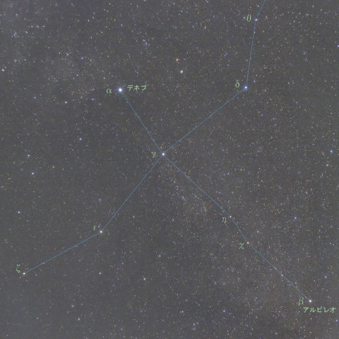 首がちょい曲がったはくちょう座〜χCygの明るい極大