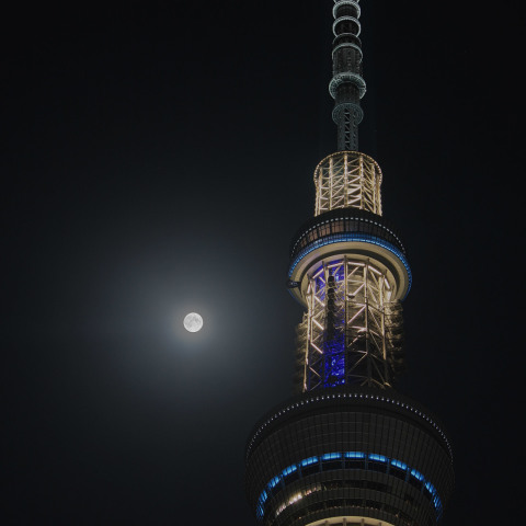 輝く中秋の名月と『粋』