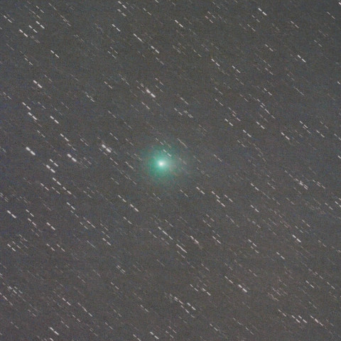 ラブジョイ彗星  Comet Lovejoy (C/2013 R1)