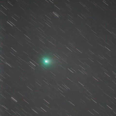 ラブジョイ彗星 Comet Lovejoy (C/2013R1)