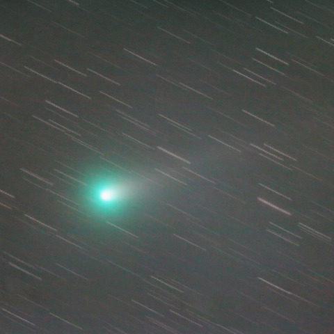 ラブジョイ彗星 Comet Lovejoy (C/2013 R1)