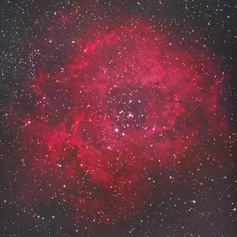 ばら星雲＠都内