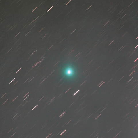 ラブジョイ彗星@都内