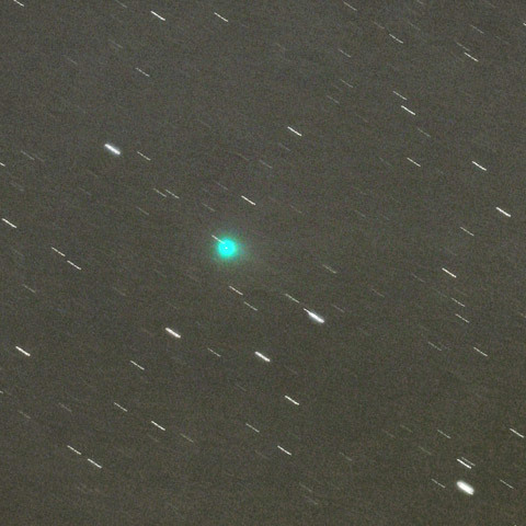 光害と月光に負けず輝くマックノート彗星（C/2009R1）