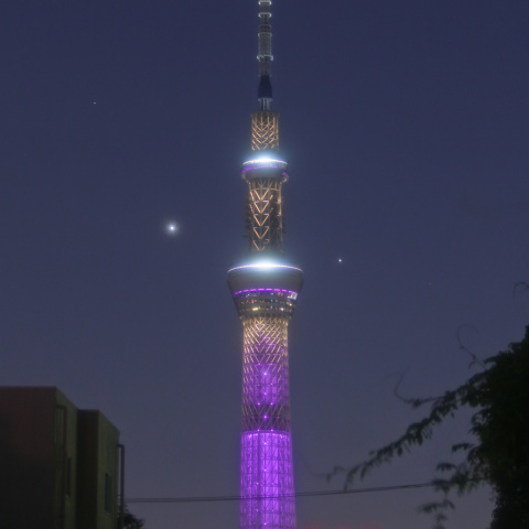 新『雅』に寄り添い輝く金星と木星