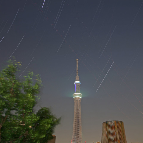 新暦七夕、ライトダウンの夜