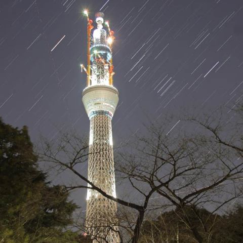 冬空に輝くオリオンと東京スカイツリー