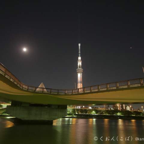 火星大接近の夜