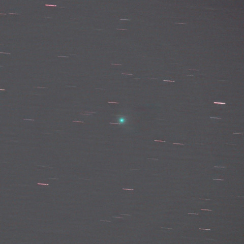 マックホルツ・藤川・岩本彗星 from 都内