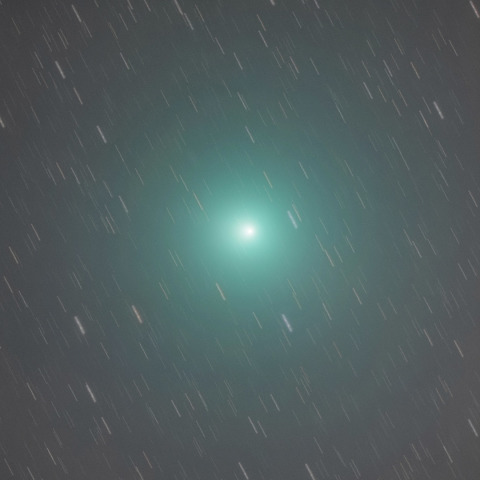 12/16の46Pウィルタネン彗星