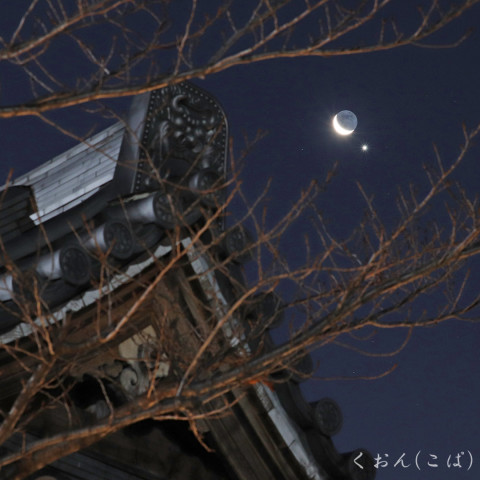 新年、月と金星の競演