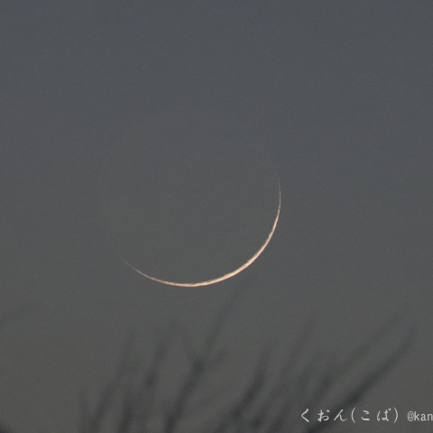 極細の月（月齢1.5）