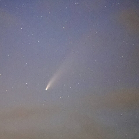 ようやく会えたネオワイズ彗星