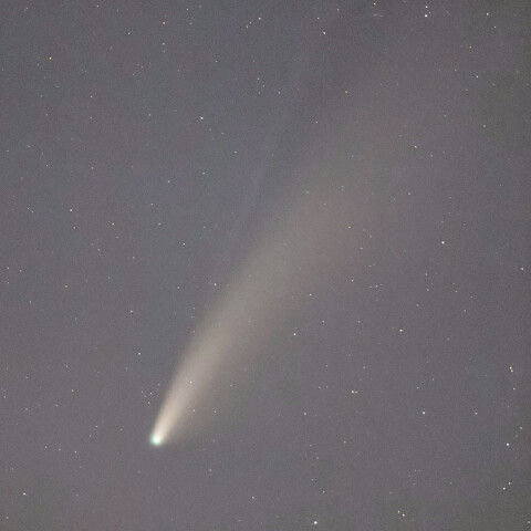 望遠レンズ固定撮影によるネオワイズ彗星