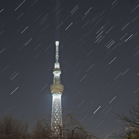 聖夜の東京スカイツリーと昇る冬の大三角