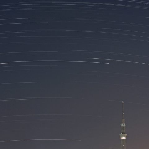 東京の空を渡るカノープス