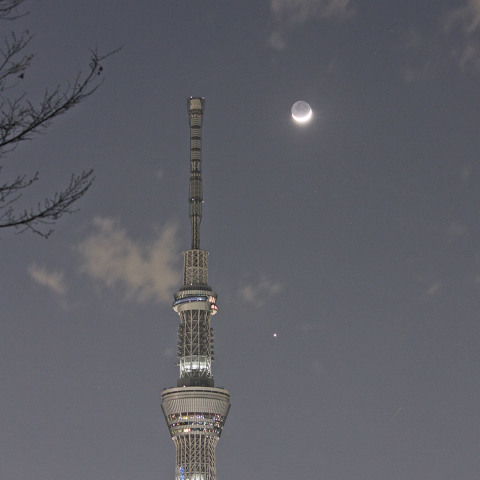 金星・月・木星とスカイツリーの競演