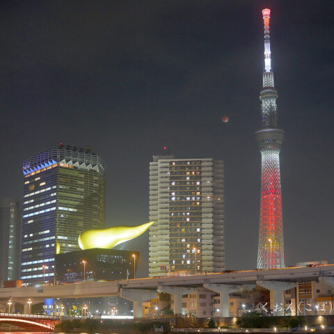 「キャンドルツリー」と吾妻橋地区の月食風景