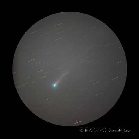 レナード彗星 from 都内