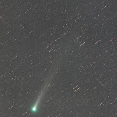 地球に接近してきたレナード彗星