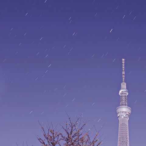 桜満開の夜、スカイツリーと昇るうしかい座とかんむり座