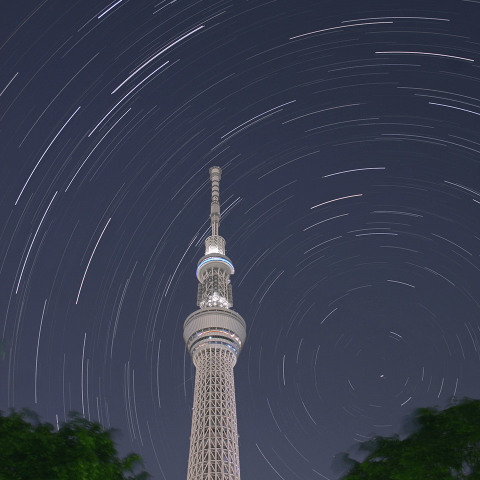 スカイツリーの立つ北天（春）