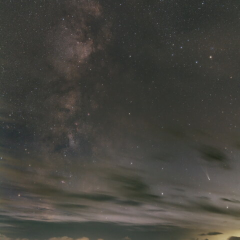 ミルキーレモン