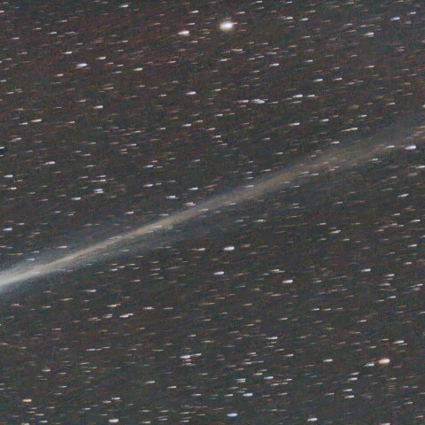 パンスターズ彗星　