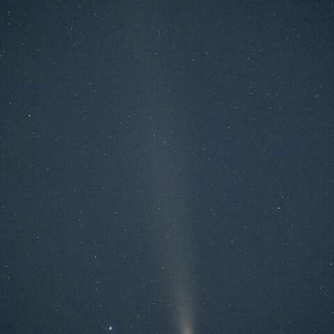 紫金山・アトラス彗星