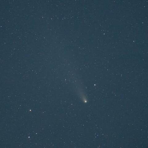 紫金山・アトラス彗星