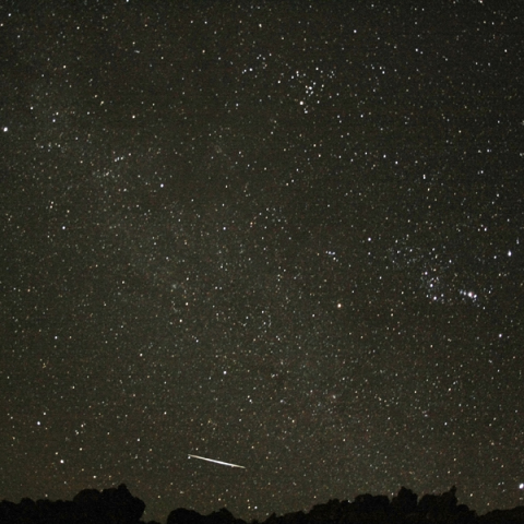 極大1日すぎのふたご座流星群