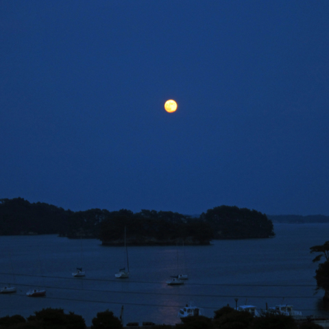 松島に昇る月