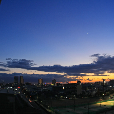 手の空いているものは西の空を見ろ