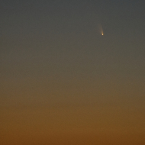 高崎からのパンスターズ彗星