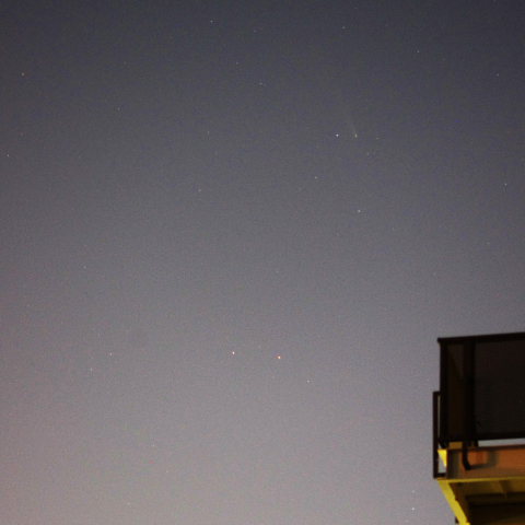 紫金山・アトラス彗星(2024/10/20,川越市内）