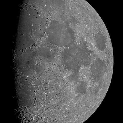 九日月(月齢8.7)