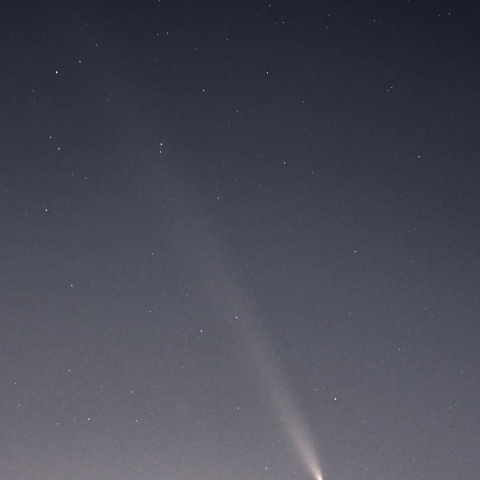 紫金山・アトラス彗星(2024.10.16)